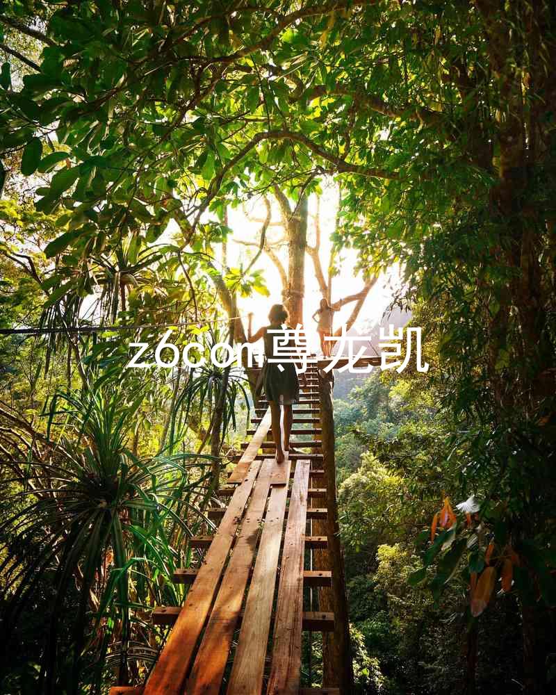 z6com尊龙凯